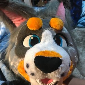 Meet your Posher, Rylee